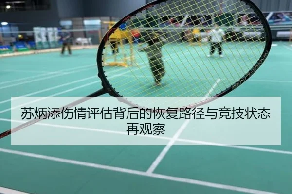 苏炳添伤情评估背后的恢复路径与竞技状态再观察