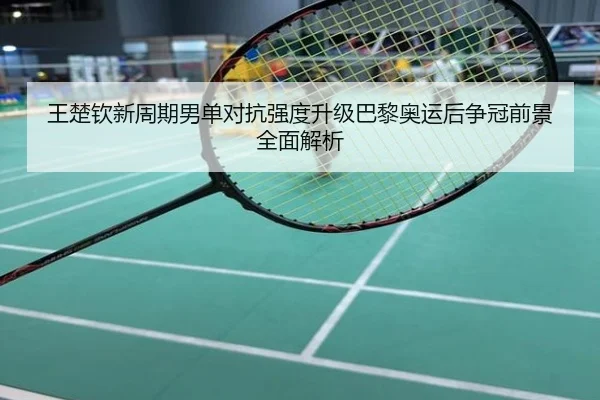 王楚钦新周期男单对抗强度升级巴黎奥运后争冠前景全面解析